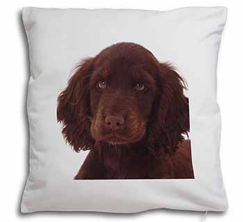 Chocolate Spaniel Puppy Soft White Velvet Feel Scatter Cushion