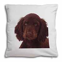 Chocolate Spaniel Puppy Soft White Velvet Feel Scatter Cushion
