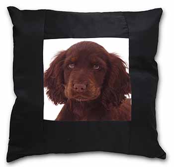 Chocolate Spaniel Puppy Black Satin Feel Scatter Cushion