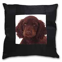 Chocolate Spaniel Puppy Black Satin Feel Scatter Cushion