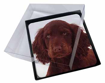 4x Chocolate Spaniel Puppy Picture Table Coasters Set in Gift Box