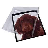 4x Chocolate Spaniel Puppy Picture Table Coasters Set in Gift Box