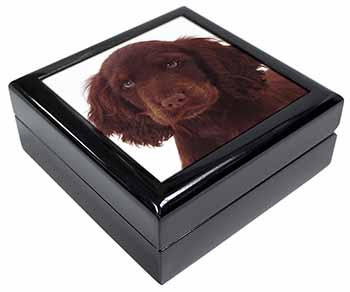 Chocolate Spaniel Puppy Keepsake/Jewellery Box