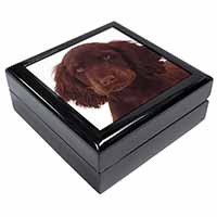 Chocolate Spaniel Puppy Keepsake/Jewellery Box