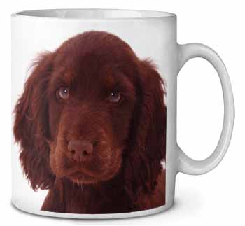 Chocolate Spaniel Puppy Ceramic 10oz Coffee Mug/Tea Cup