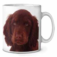 Chocolate Spaniel Puppy Ceramic 10oz Coffee Mug/Tea Cup
