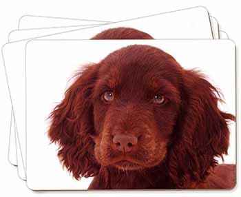 Chocolate Spaniel Puppy Picture Placemats in Gift Box