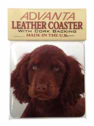Chocolate Spaniel Puppy Single Leather Photo Coaster