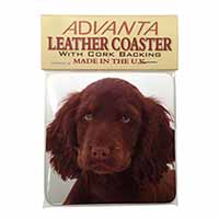Chocolate Spaniel Puppy Single Leather Photo Coaster