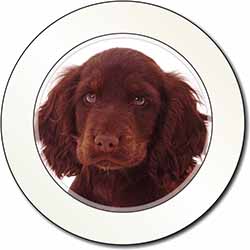 Chocolate Spaniel Puppy Car or Van Permit Holder/Tax Disc Holder