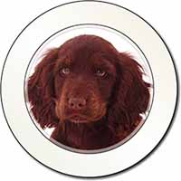 Chocolate Spaniel Puppy Car or Van Permit Holder/Tax Disc Holder
