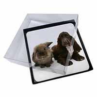 4x Cute Cocker Spaniel Dog and Rabbit Picture Table Coasters Set in Gift Box