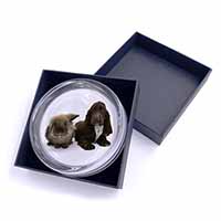 Cute Cocker Spaniel Dog and Rabbit Glass Paperweight in Gift Box