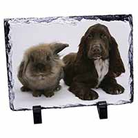 Cute Cocker Spaniel Dog and Rabbit, Stunning Photo Slate