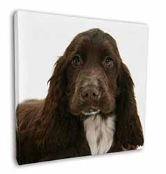Chocolate Cocker Spaniel Dog Square Canvas 12"x12" Wall Art Picture Print
