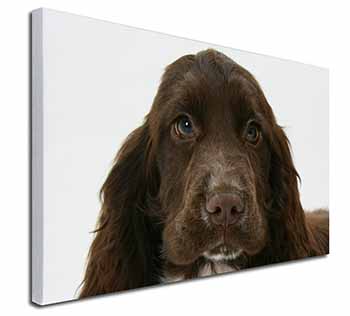 Chocolate Cocker Spaniel Dog Canvas X-Large 30"x20" Wall Art Print