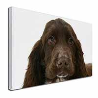 Chocolate Cocker Spaniel Dog Canvas X-Large 30"x20" Wall Art Print