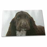 Large Glass Cutting Chopping Board Chocolate Cocker Spaniel Dog