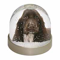 Chocolate Cocker Spaniel Dog Snow Globe Photo Waterball