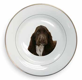 Chocolate Cocker Spaniel Dog Gold Rim Plate Printed Full Colour in Gift Box