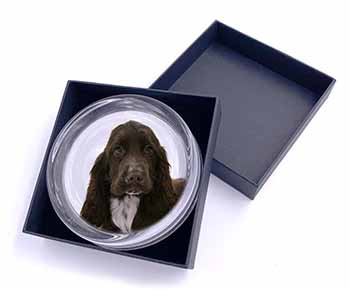 Chocolate Cocker Spaniel Dog Glass Paperweight in Gift Box
