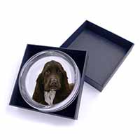 Chocolate Cocker Spaniel Dog Glass Paperweight in Gift Box
