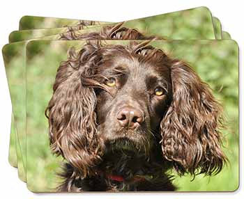 Chocolate Cocker Spaniel Dog Picture Placemats in Gift Box