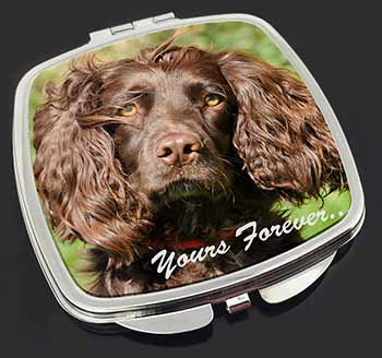 Chocolate Spaniel 