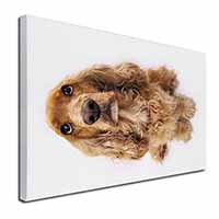 Cocker Spaniel Dog Canvas X-Large 30"x20" Wall Art Print