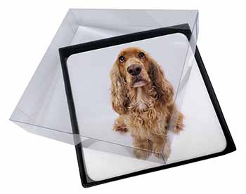 4x Cocker Spaniel Dog Picture Table Coasters Set in Gift Box