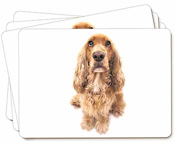 Cocker Spaniel Dog Picture Placemats in Gift Box