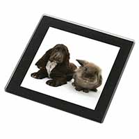 Cocker Spaniel Dog Black Rim High Quality Glass Coaster