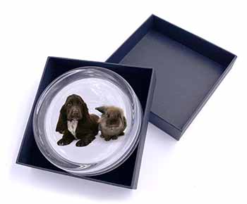 Cocker Spaniel Dog Glass Paperweight in Gift Box