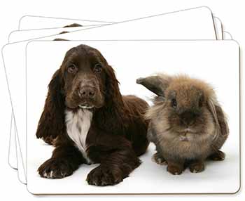 AD-SC4P Chocolate Cocker Spaniel Dog Picture Placemats in Gift Box 