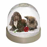 Cocker Spaniel with Red Rose Snow Globe Photo Waterball