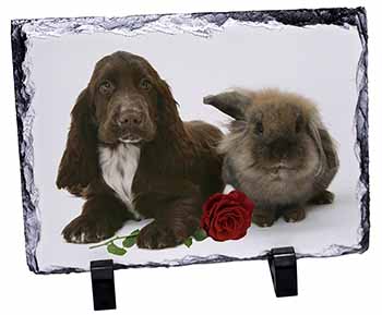 Cocker Spaniel with Red Rose, Stunning Photo Slate