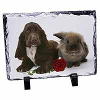 Cocker Spaniel with Red Rose, Stunning Photo Slate
