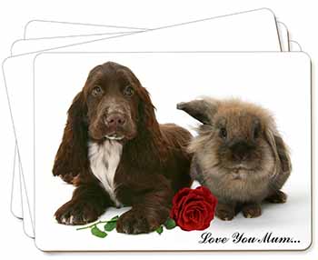 Spaniel+Rabbit+Rose 
