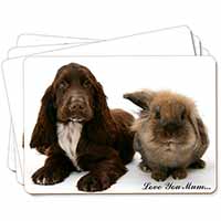 Cocker Spaniel Dog 