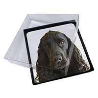 4x Black Cocker Spaniel Dog Picture Table Coasters Set in Gift Box