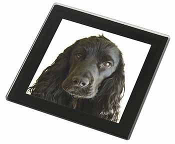 Black Cocker Spaniel Dog Black Rim High Quality Glass Coaster