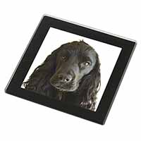 Black Cocker Spaniel Dog Black Rim High Quality Glass Coaster