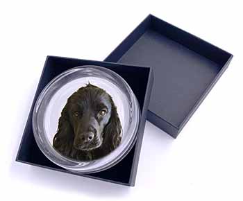 Black Cocker Spaniel Dog Glass Paperweight in Gift Box