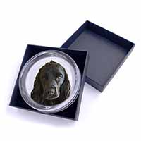 Black Cocker Spaniel Dog Glass Paperweight in Gift Box
