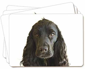 Black Cocker Spaniel Dog Picture Placemats in Gift Box