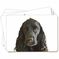 Black Cocker Spaniel Dog Picture Placemats in Gift Box