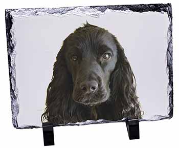 Black Cocker Spaniel Dog, Stunning Photo Slate