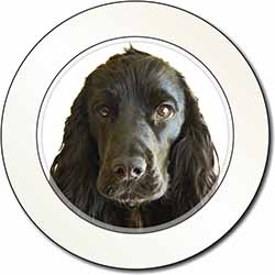 Black Cocker Spaniel Dog Car or Van Permit Holder/Tax Disc Holder