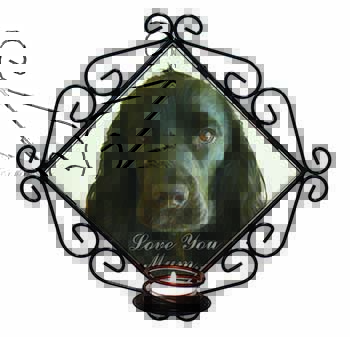 Black Cocker Spaniel 