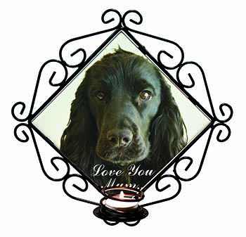 Black Cocker Spaniel 